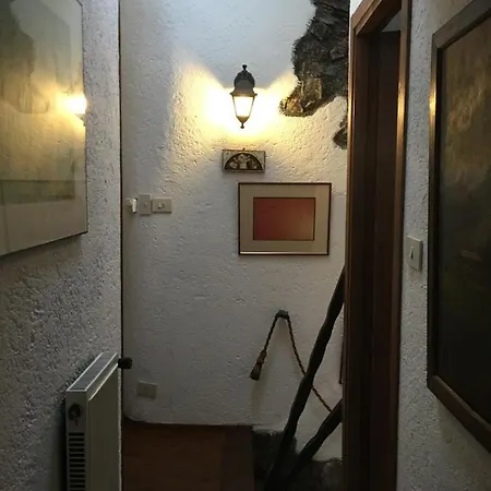 Rodi